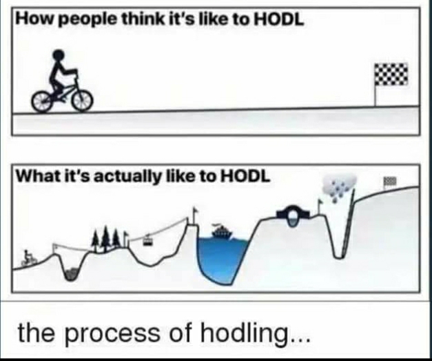 What it's like to hodl